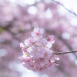 【リーマン力】春は出会いの季節！人に嫌われてしまう５つの行動とその対策（人間関係）